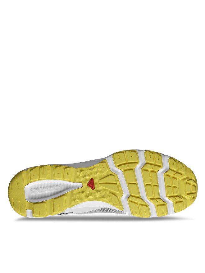 Salomon Încălțăminte pentru sporturi nautice Salomon Amphib Bold 2 L47153600 Gri
