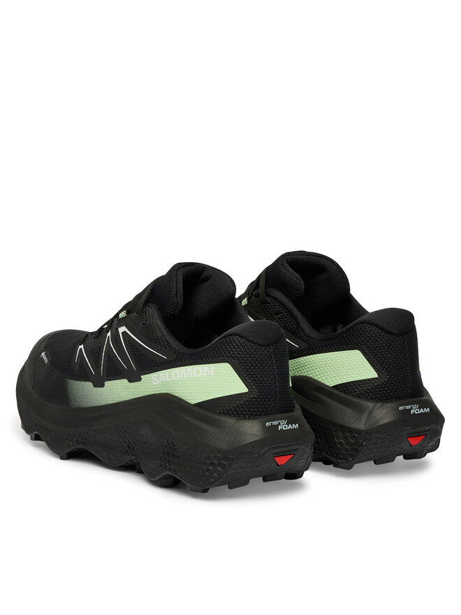 Salomon Laufschuhe Salomon Ultra Flow 2 Gtx L47981400 Schwarz