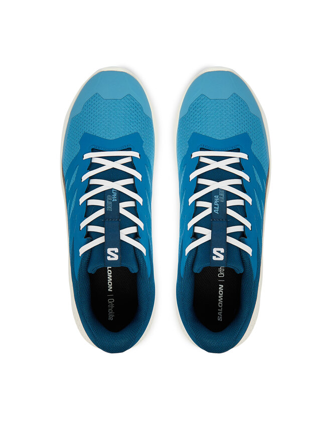 Salomon Взуття для бігу Salomon Alphaglide L48000400 Голубий