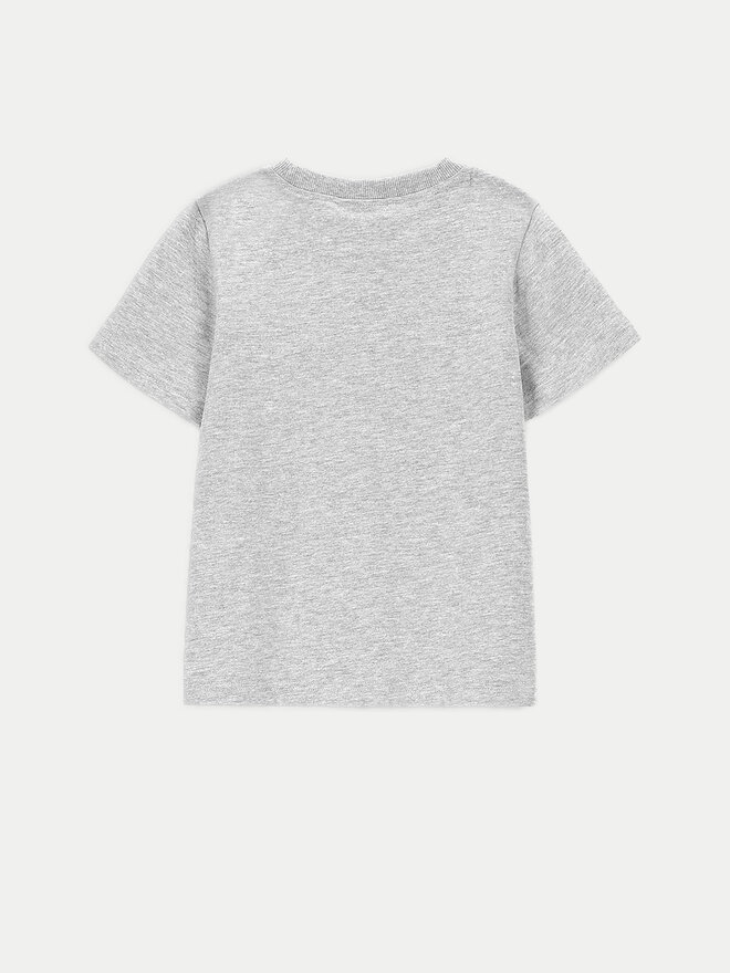 Coccodrillo Coccodrillo Camiseta ZC4143201VBA Gris Regular Fit