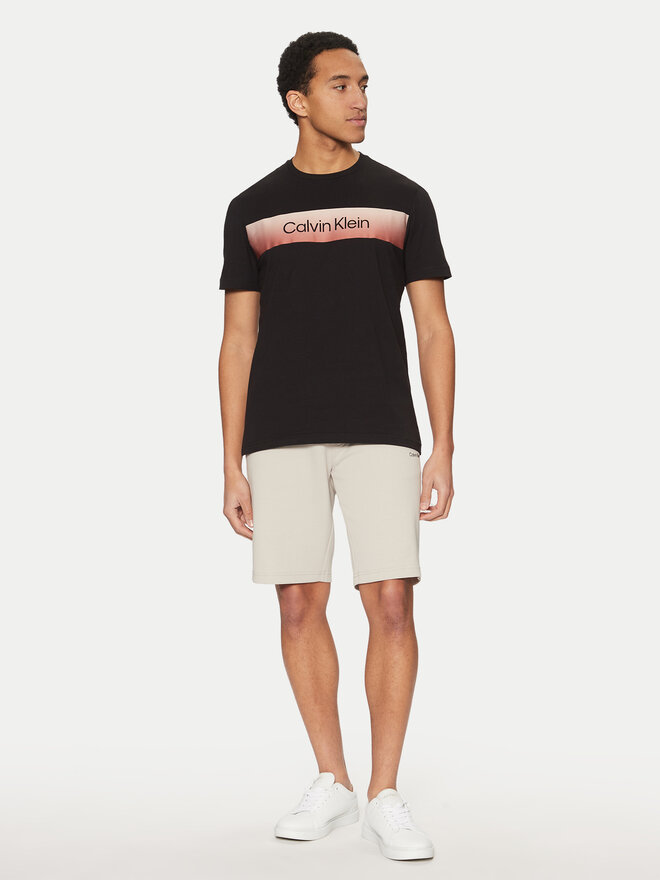 Calvin Klein Calvin Klein T-Shirt K10K114163 Schwarz Regular Fit