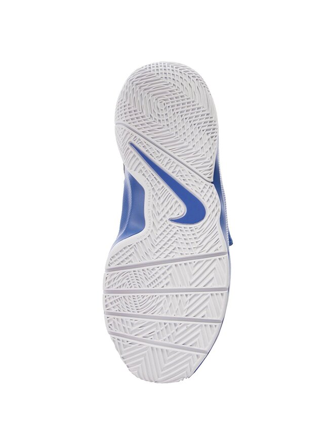 Nike Basketballschuhe Nike Team Hustle D 8 (GS) 881941 405 Dunkelblau