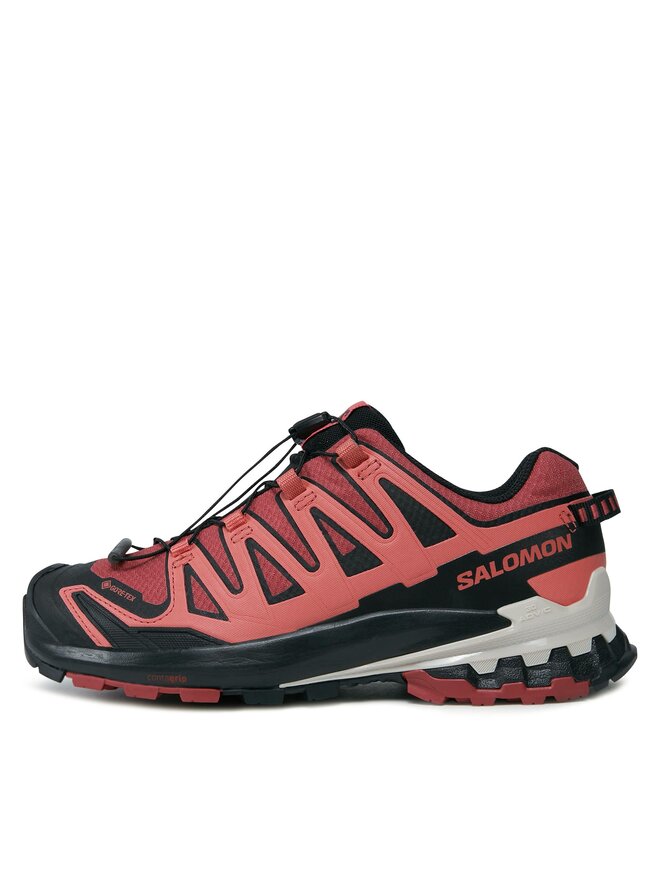 Salomon Trekkingschuhe Salomon Xa Pro 3D V9 GORE-TEX L47270900 Rot