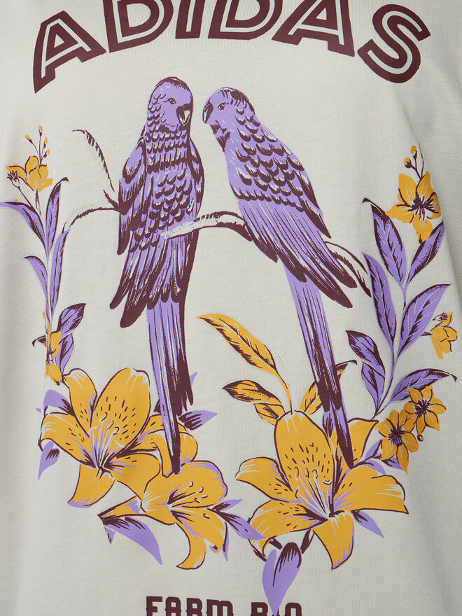 adidas adidas Футболка FARM Graphic JV8610 Сірий Regular Fit