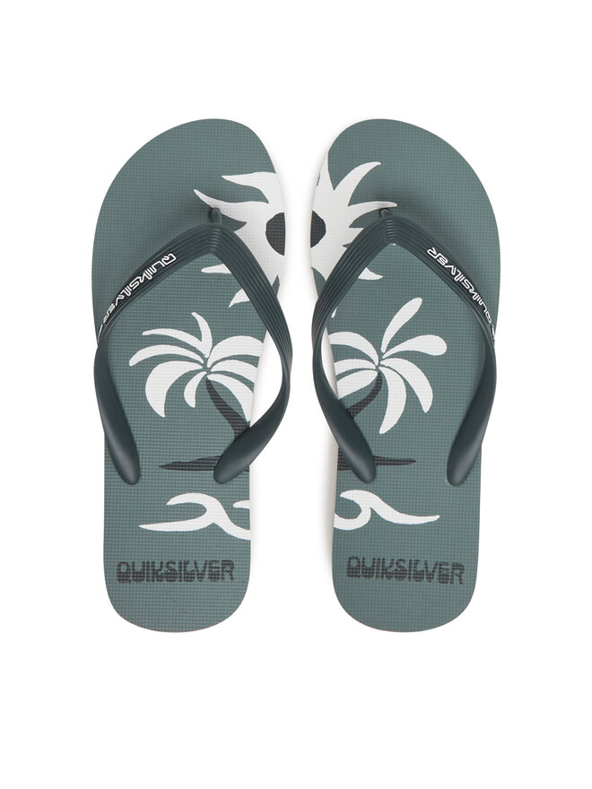 Quiksilver Chancletas Quiksilver Molokai Screen AQYL101427 Verde