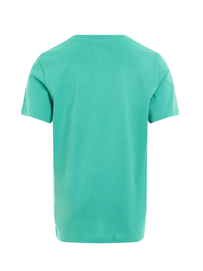 Calvin Klein Jeans Calvin Klein Jeans T-Shirt Surf Graphic IB0IB02447 Grün Regular Fit