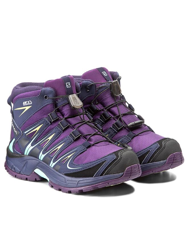 Salomon xa pro 3d mid cswp discount