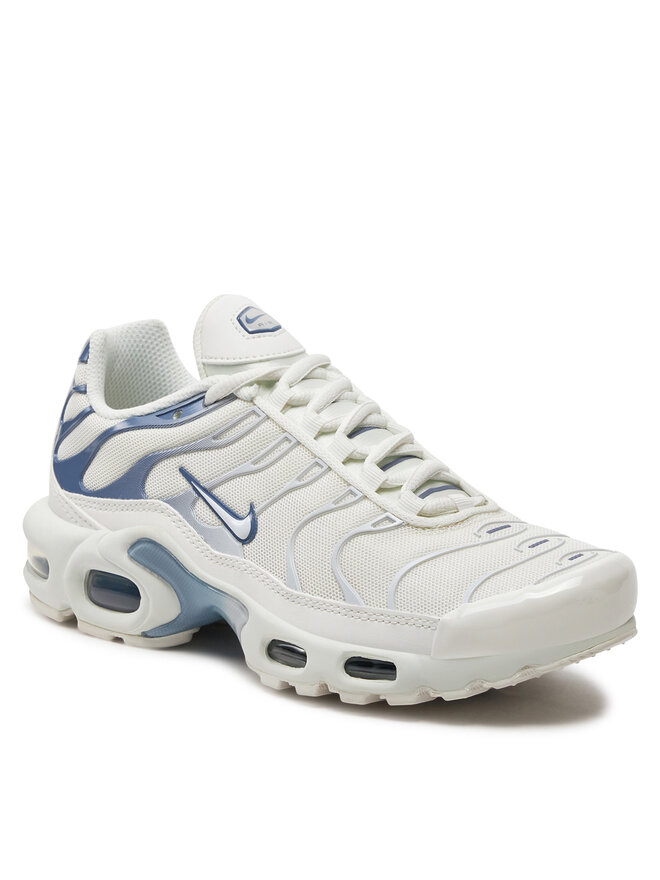 Снікерcи Nike Air Max DZ3671 104 Білий | evzuttya.com.ua