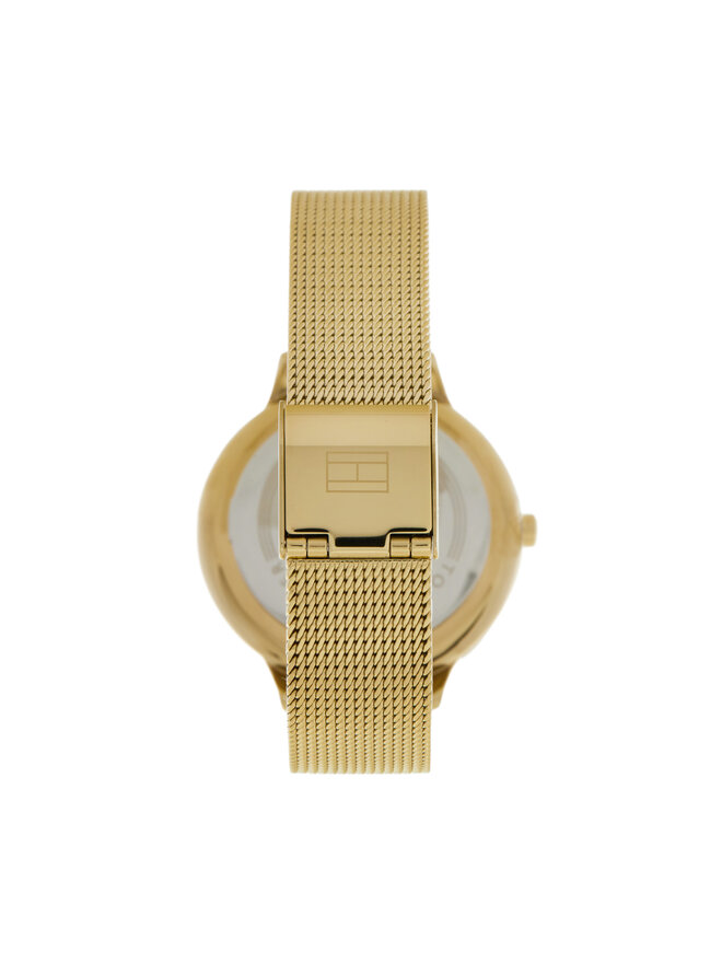 Tommy Hilfiger Ceas Tommy Hilfiger 1782588 Auriu