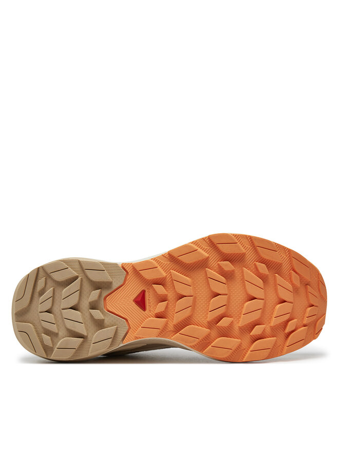 Salomon Сникърси Salomon Elixir Activ Gore-Tex L47456400 Кафяв