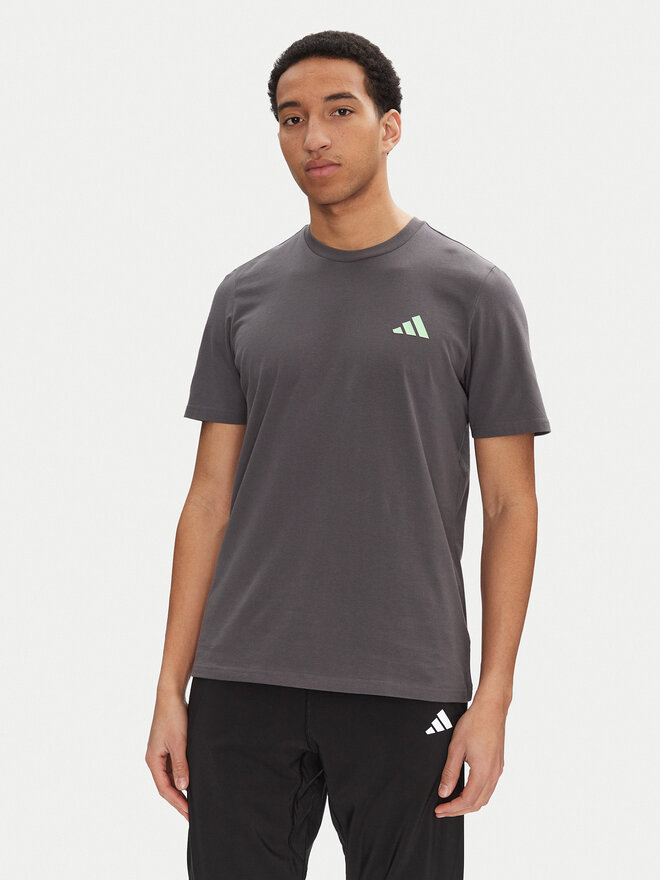 adidas adidas Marškinėliai Mercedes - AMG Petronas Formula One Team Premium JY3032 Pilka Regular Fit