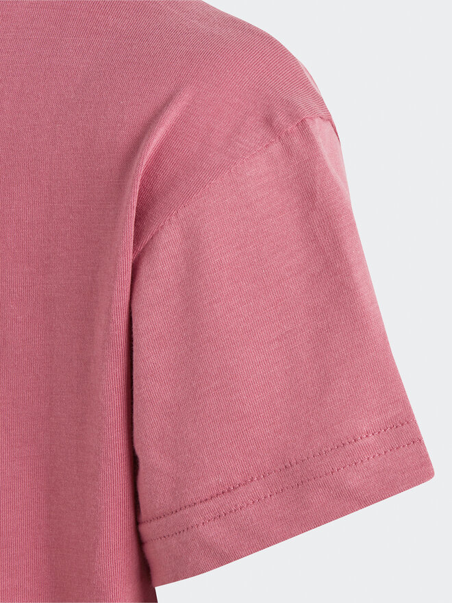 adidas adidas Футболка Adicolor T-Shirt IB9904 Рожевий Regular Fit