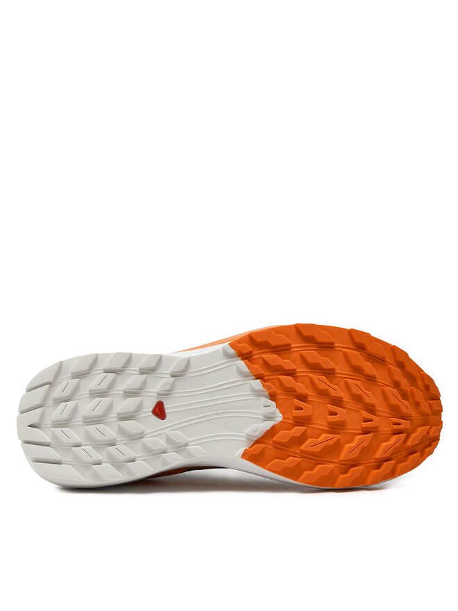 Salomon Bežecké topánky Salomon Sense Ride 5 Gore-Tex L47459400 Sivá