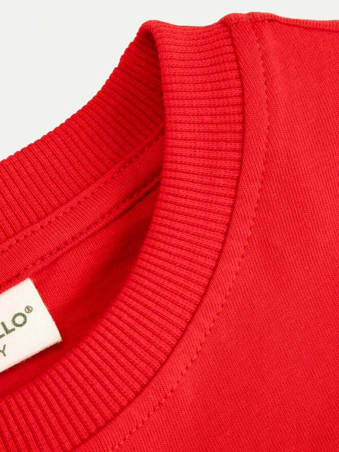 Coccodrillo Coccodrillo Camiseta ZC4143203ABJ Rojo Regular Fit