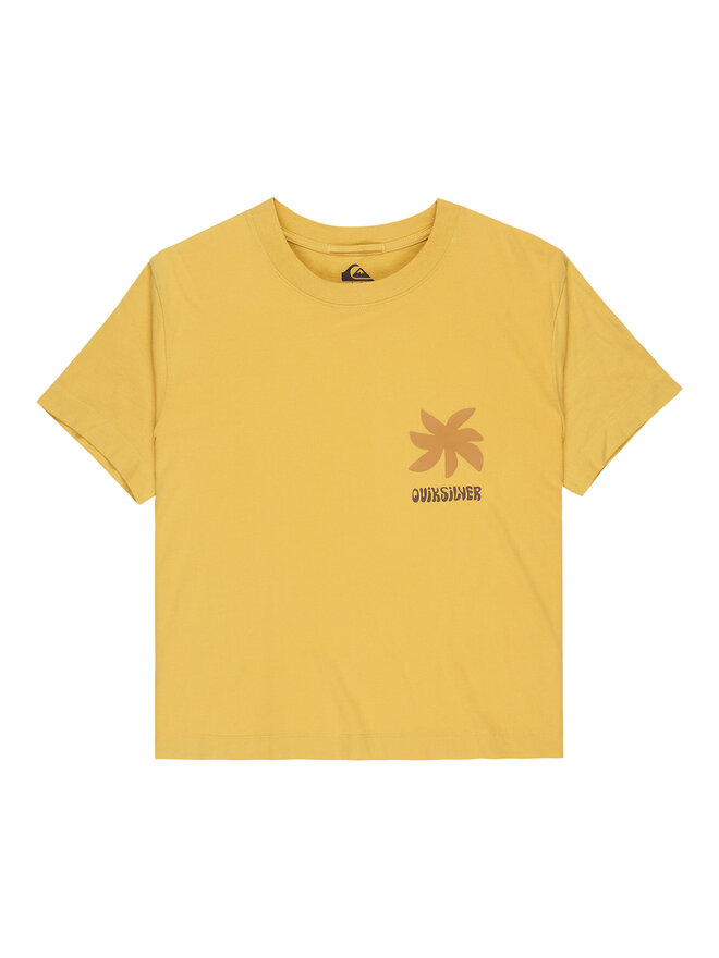 Quiksilver Quiksilver T-Shirt Standard  EQWZT03197 Gelb Regular Fit
