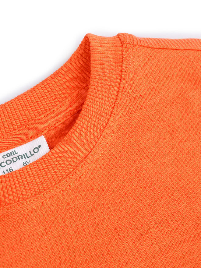 Coccodrillo Coccodrillo Majica WC5143202HBK Oranžna Regular Fit
