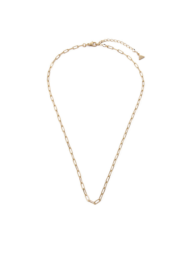 Aldo Κολιέ Aldo Issadorra 14088220 Χρυσό