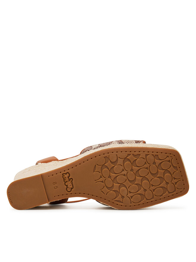 Coach Espadrilles Coach CAS80 Brūns