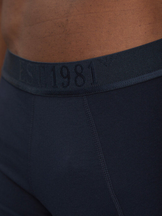 Emporio Armani Underwear Emporio Armani Underwear Набір з 3 пар боксерів EM000259 AF10780 MB139 Cиній