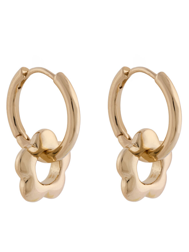 Aldo Set Ohrringen Aldo Charmiies 13994892 Goldfarben