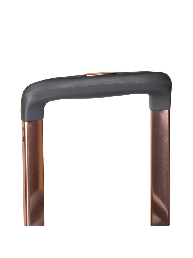 Titan Салонна валіза Titan Barbara 4W Trolley S 383406-04 Сірий