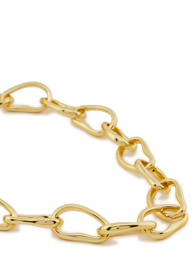 Skagen Halskette Skagen SKJ5008710 Goldfarben