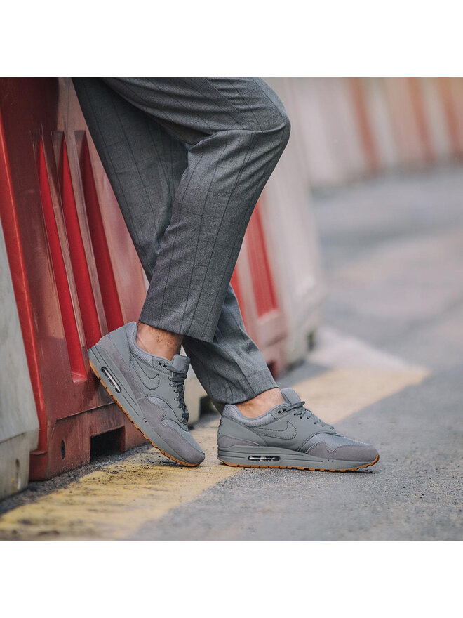 c Nike Air Max 1 AH8145 005 evzuttya .ua