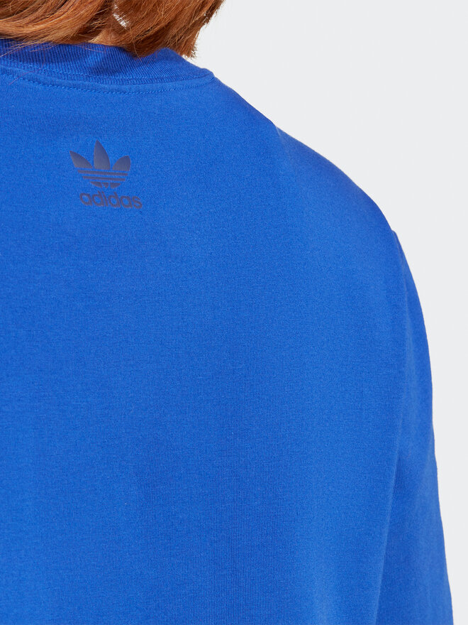 adidas adidas Футболка T-Shirt IC5982 Голубий