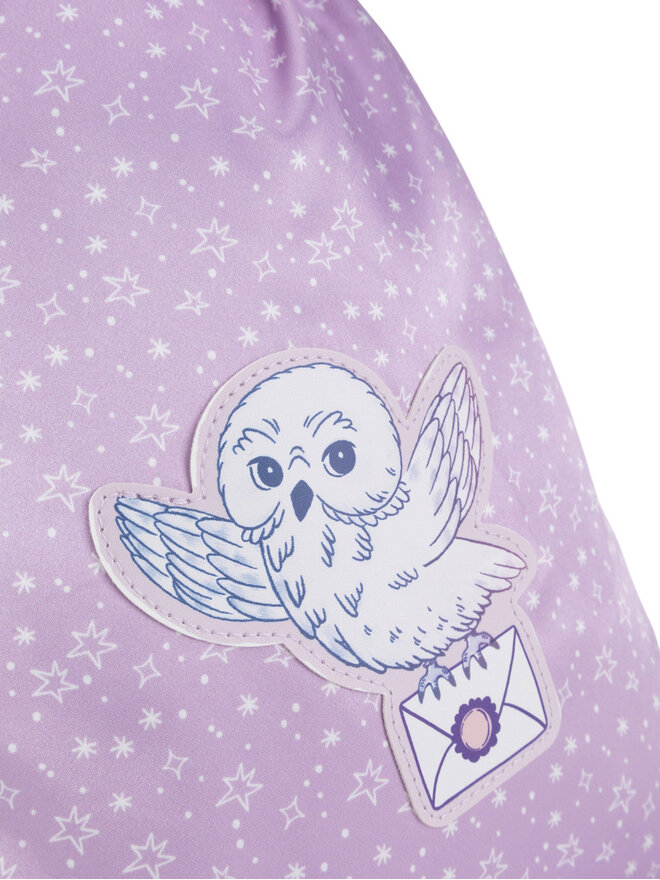 Harry Potter Rucsac tip sac Harry Potter ACCCS-AW24-242WBHP Violet