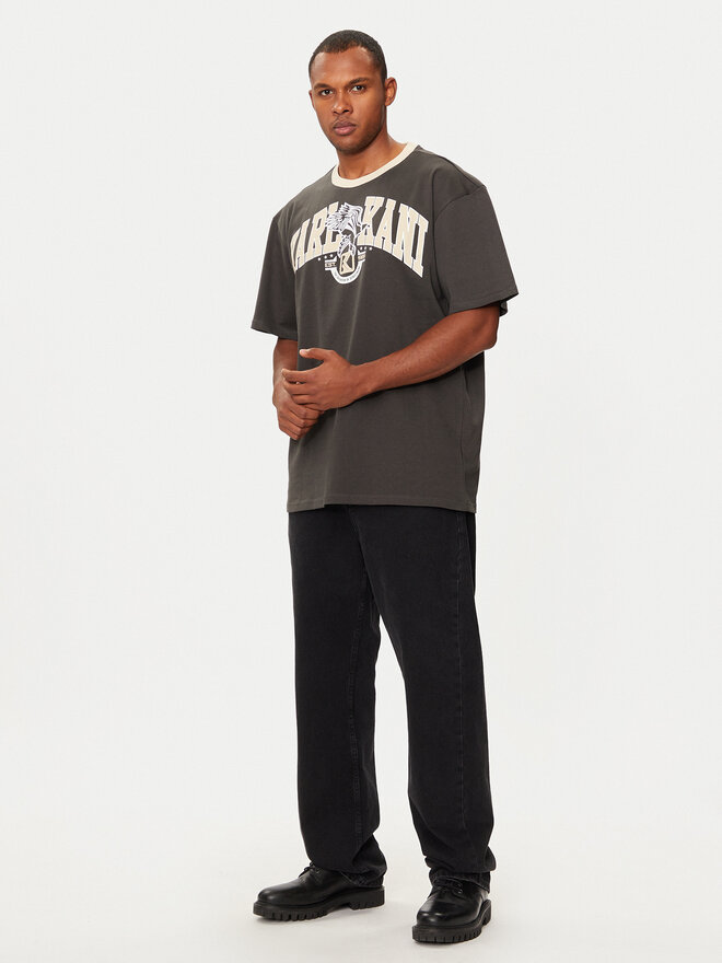Karl Kani Karl Kani Футболка Eagle Print 60300106 Бежевий Regular Fit