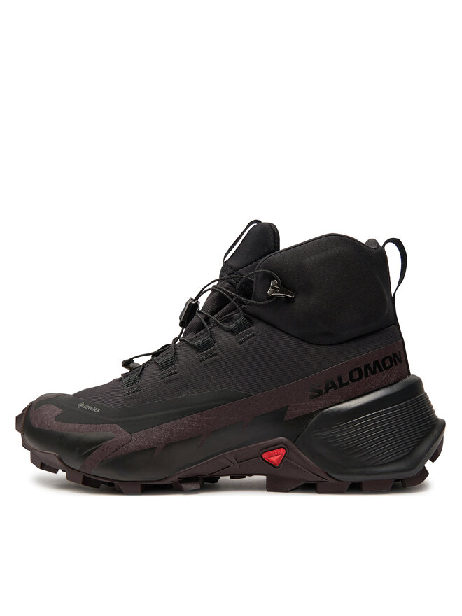 Salomon Trekkingschuhe Salomon Cross Hike Mid Gtx 2 W GORE-TEX L41731000 Schwarz