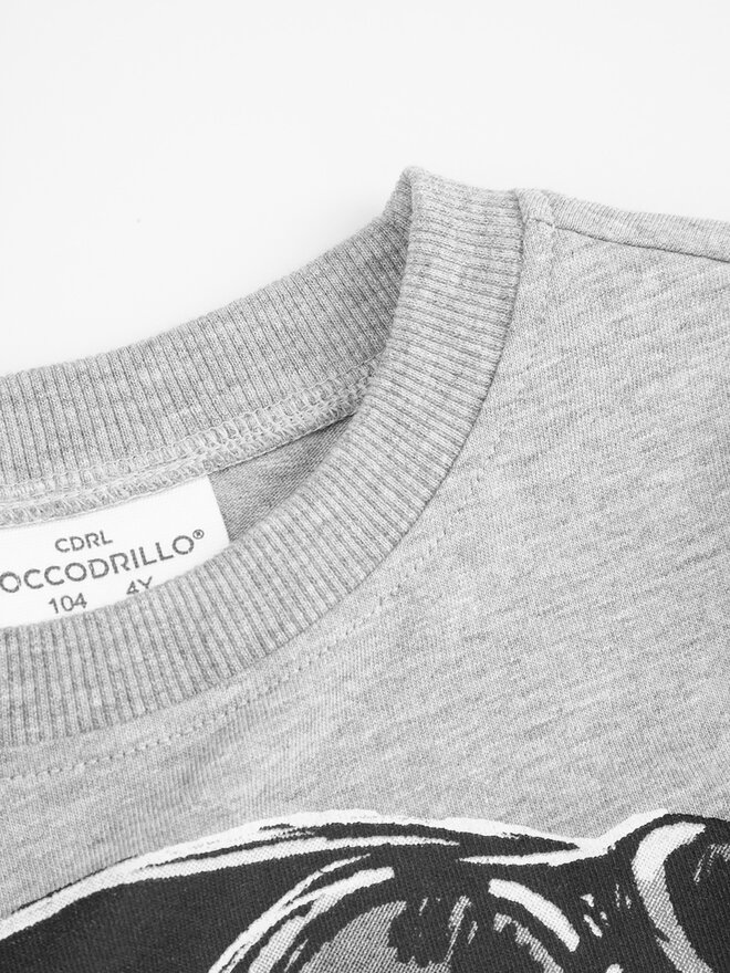 Coccodrillo Coccodrillo Camiseta ZC4143201VBA Gris Regular Fit