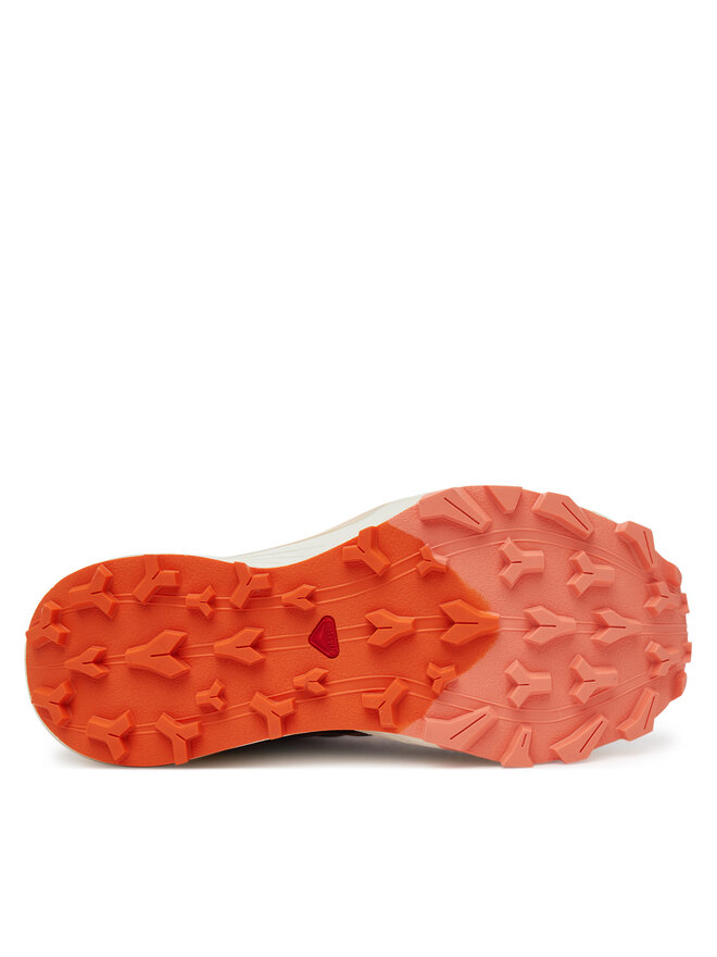 Salomon Buty do biegania Salomon Thundercross L47802800 Pomarańczowy
