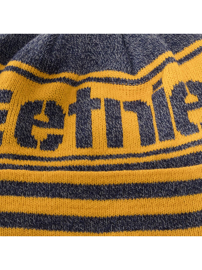 Etnies Căciulă Etnies Arena Beanie 4140001328 Galben