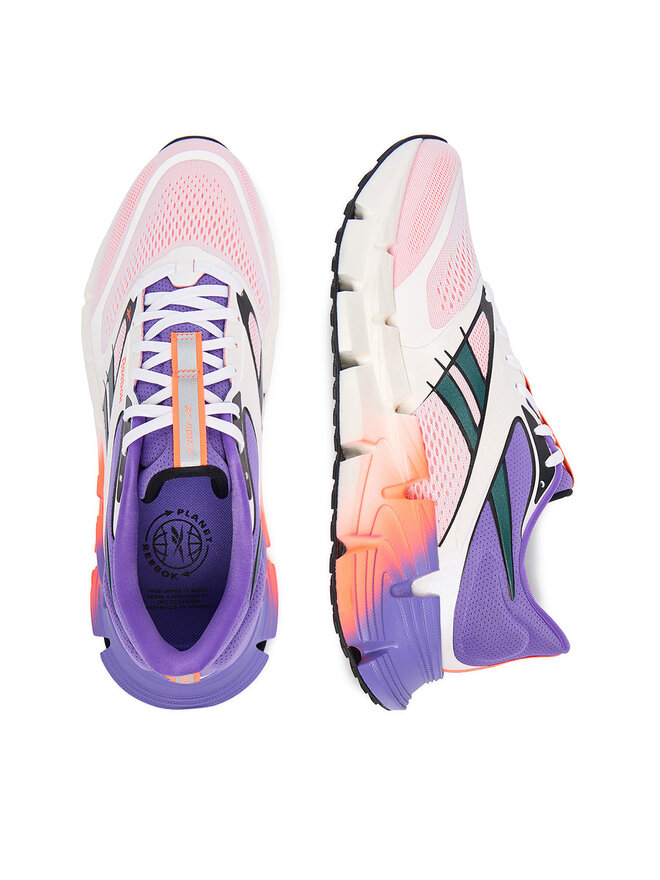 Reebok Laufschuhe Reebok EOSB-FLOATZIG 2 100225499 Bunt