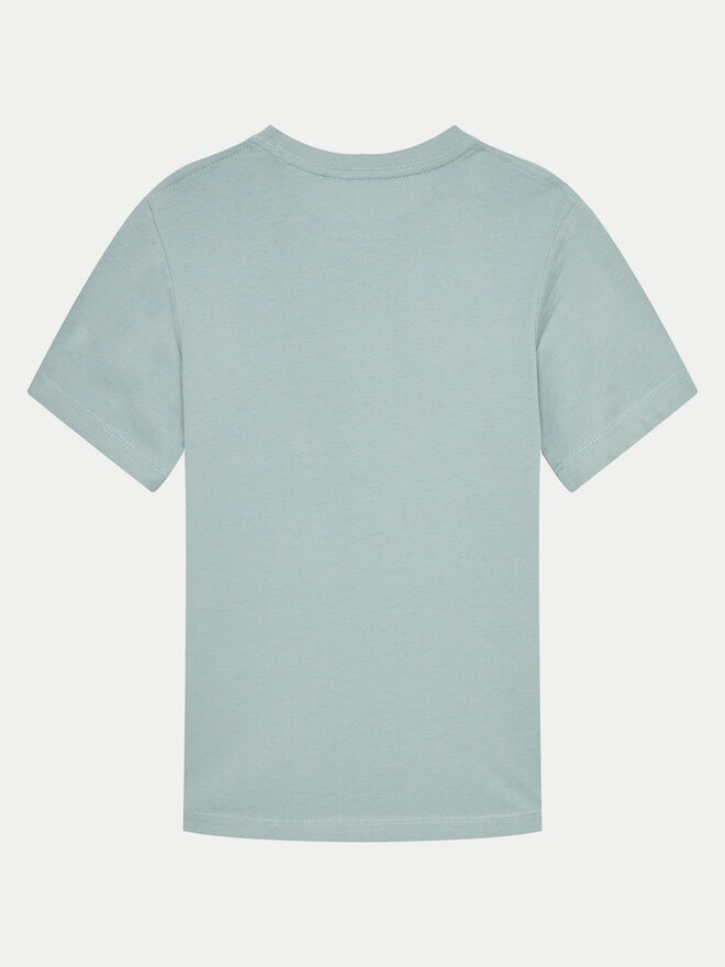 Jack&Jones Junior Jack&Jones Junior Marškinėliai Joraruba 12257614 Žalia Standard Fit