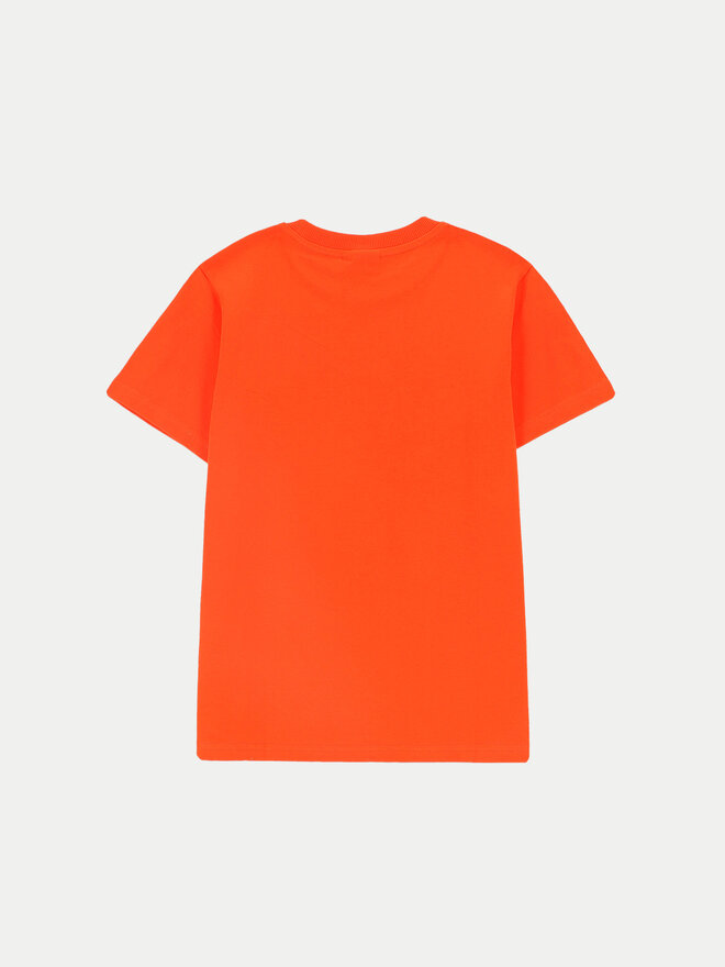 Coccodrillo Coccodrillo T-shirt ZC4143201FBJ Crvena Regular Fit