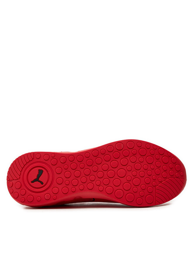 Puma Buty do biegania Puma Softride Carson 310154 03 Czerwony