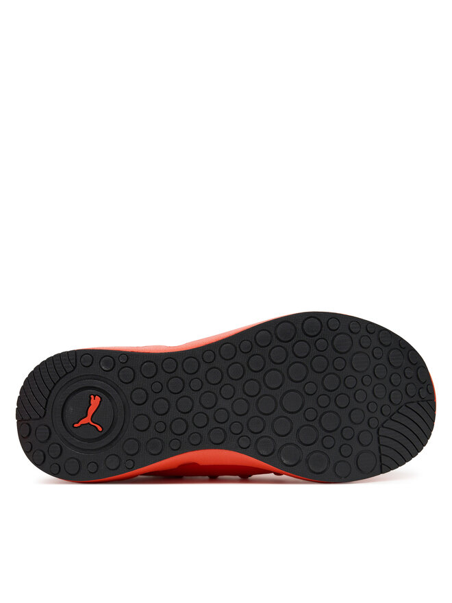 Puma Buty do biegania Puma Softride Carson Fresh 310155 03 Czerwony