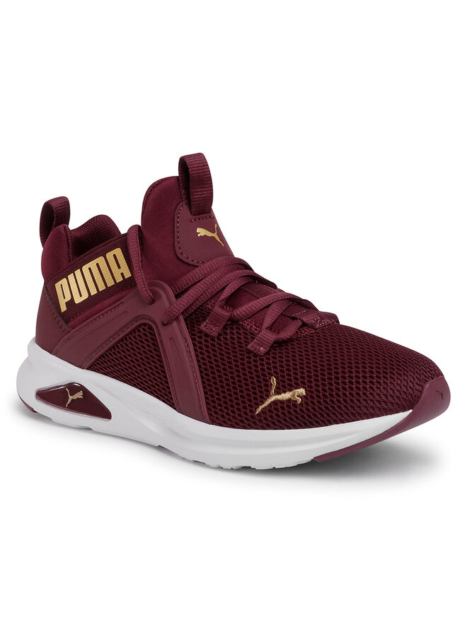 Burgundy pumas noticias outlet