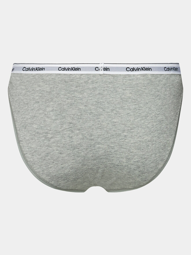 Calvin Klein Underwear Calvin Klein Underwear Klassischer Damenslip 000QD5215E Grau
