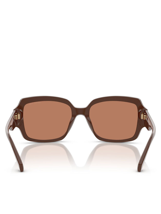Michael Kors Sonnenbrillen Michael Kors 0MK2233B 55 4008/3 Braun