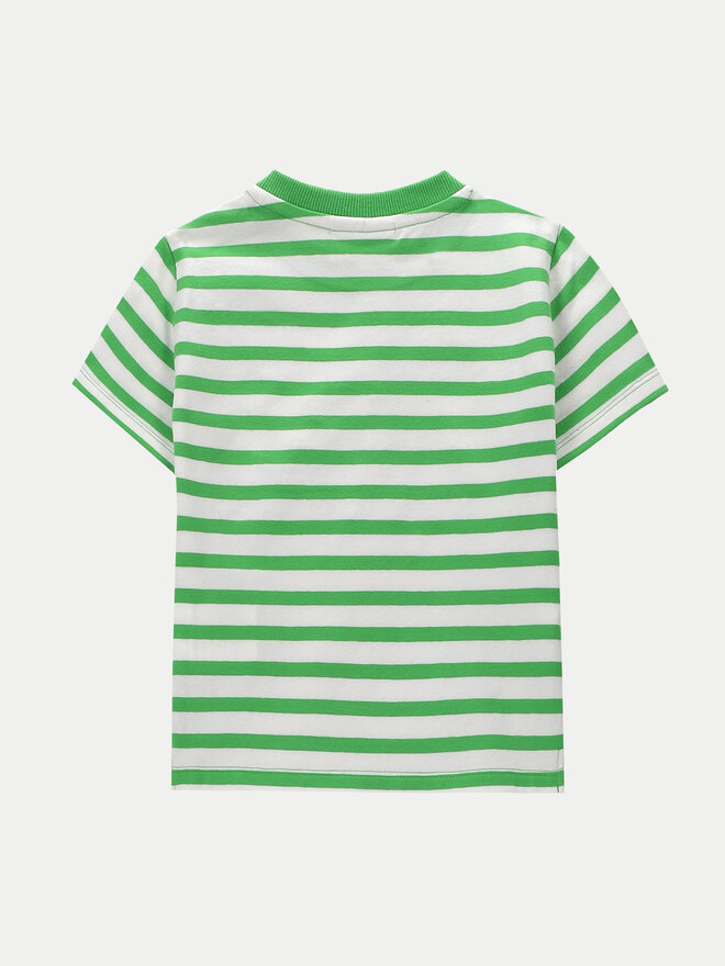 Coccodrillo Coccodrillo Marškinėliai WC4143201UWN Žalia Regular Fit