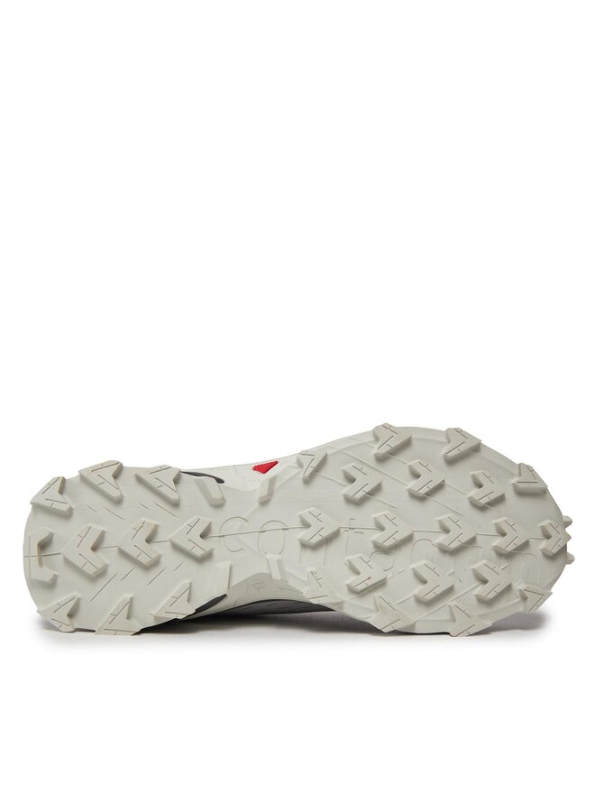 Salomon Tekaški čevlji Salomon Alphacross 5 473133 29 W0 Siva