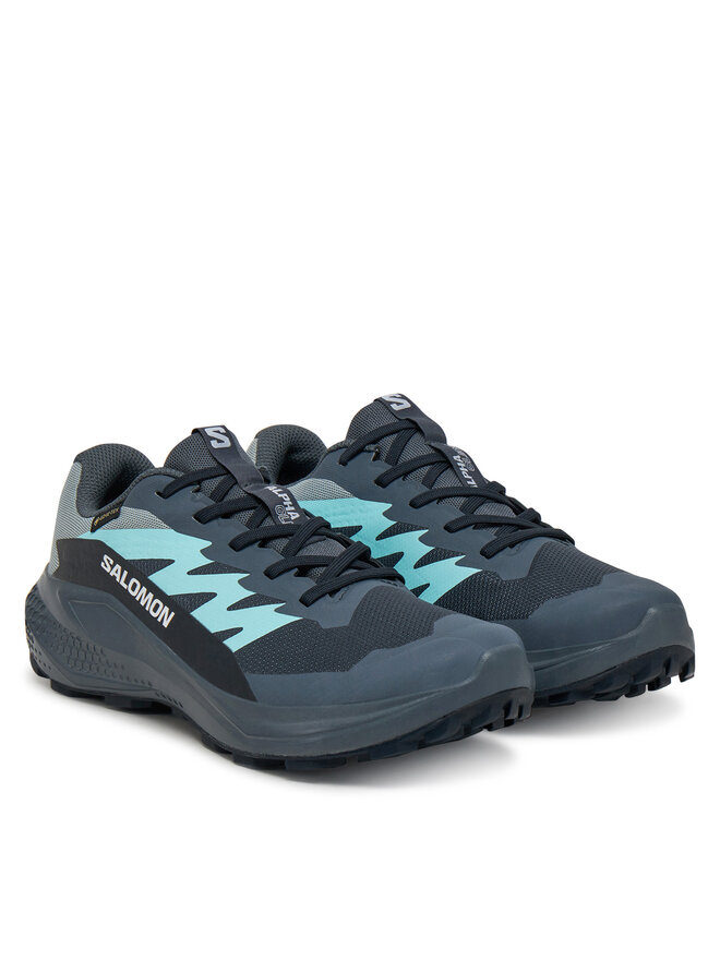 Salomon Běžecké boty Salomon Alphaglide Gore-Tex L47802500 Šedá