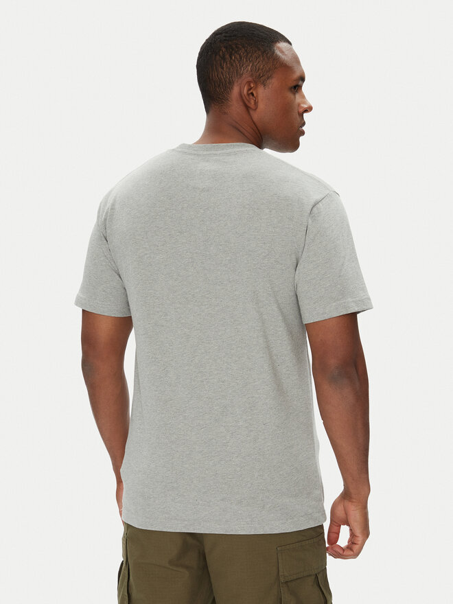DC DC Camiseta ADYZT05373 Gris Regular Fit