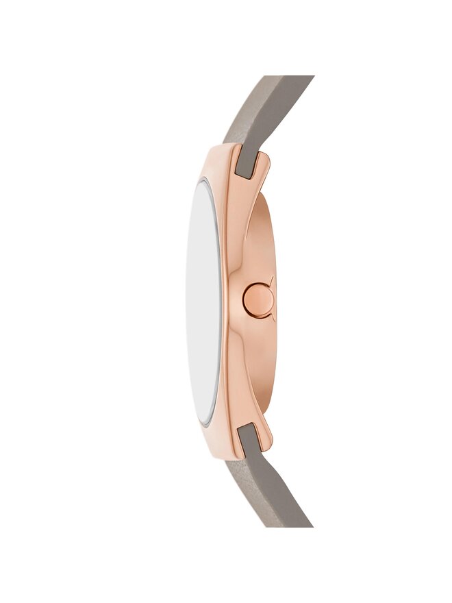 Skagen Годинник Skagen SKW3079 Золотий