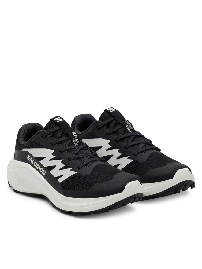 Salomon Buty do biegania Salomon Alphaglide L47801500 Czarny
