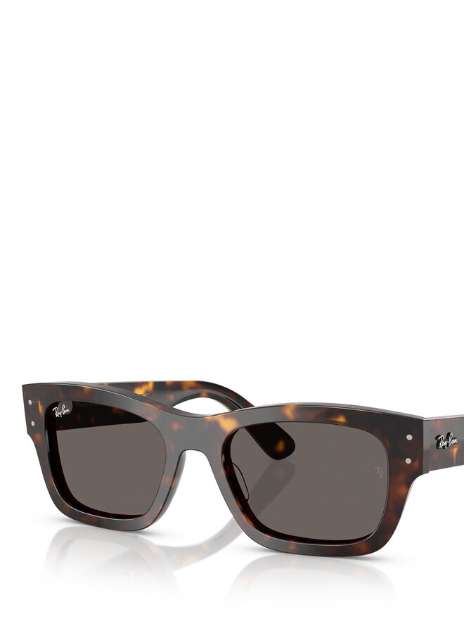 Ray-Ban Sonnenbrillen Ray-Ban 0RB7683S Braun