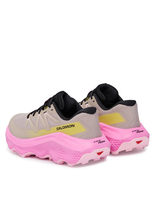 Salomon Взуття для бігу Salomon Ultra Flow 2 W L47883800 Бежевий